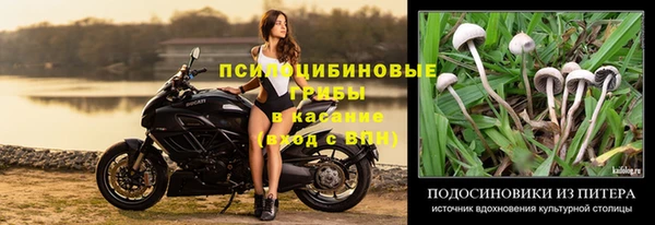 кокс Алексеевка